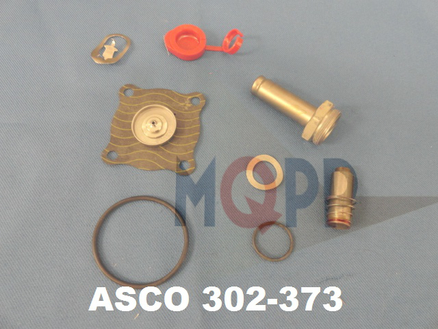 ASCO 302-373
