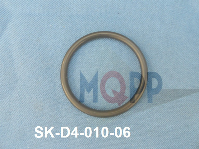 SK-D4-010-06