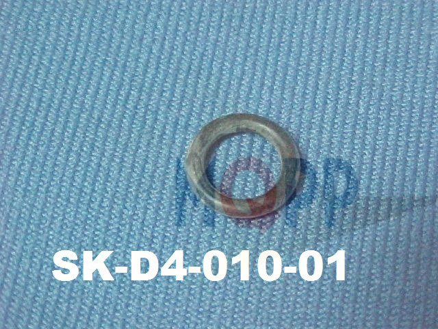SK-D4-010-01